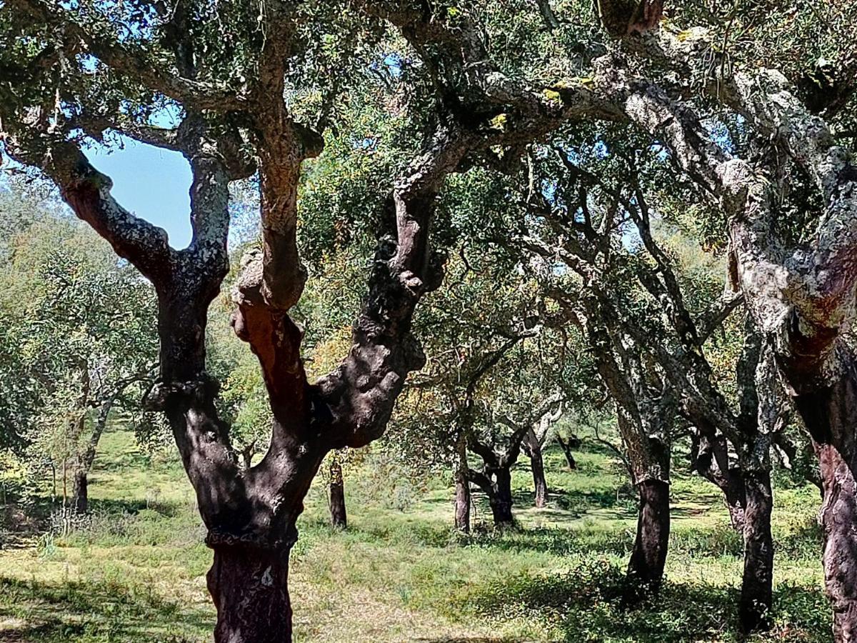 Appartamento Mirarte Montemor-o-Novo Esterno foto